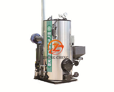 燃油气生物质两用蒸汽发生器